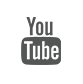 Icon Youtube