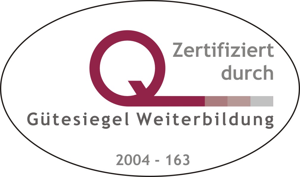 2004 163 Logo GV