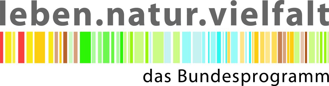 Logo Bundesprogramm XL